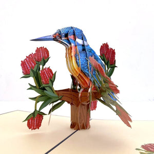 Handmade Australian Kingfisher Bird 3D Pop Up Greeting Card - Australian Native Bird Pop Up Cards - Cards for Bird Lovers