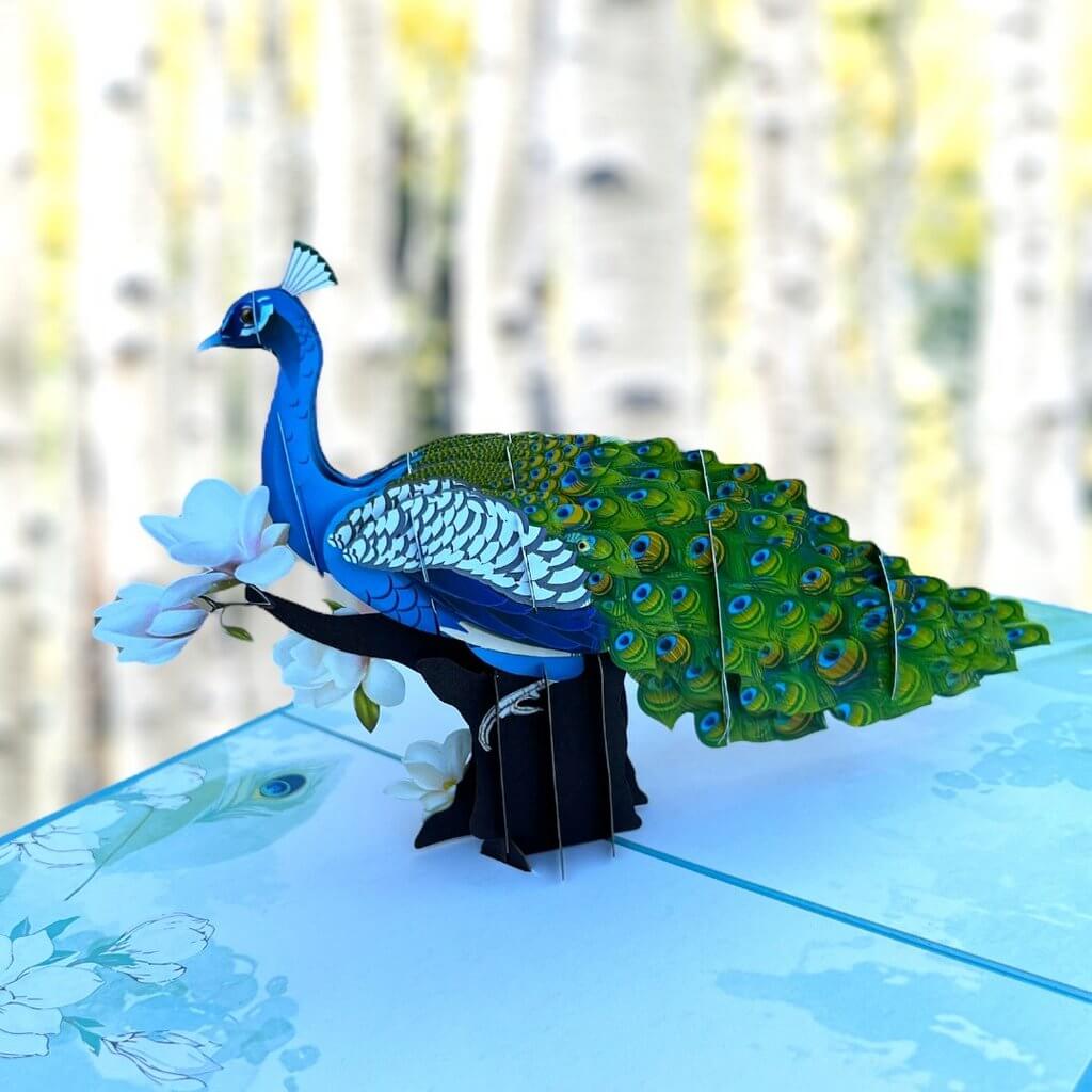 Asian Oriental Blue Green Peacock with White Magnolia Flowers 3D Pop Card