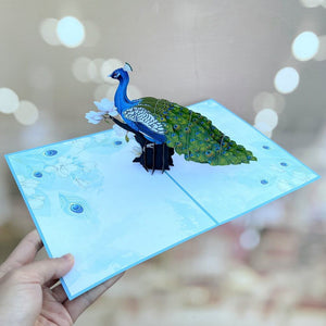 Asian Oriental Blue Green Peacock with White Magnolia Flowers 3D Pop Card