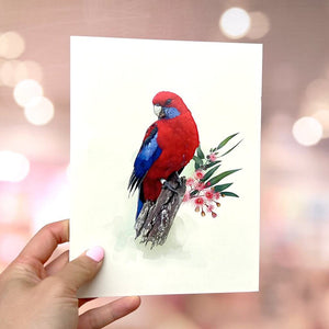 Handmade Australian Crimson Rosella Parrot Bird Card