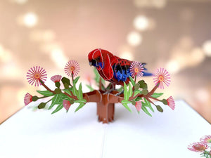 Handmade Australian Crimson Rosella Parrot Bird Card