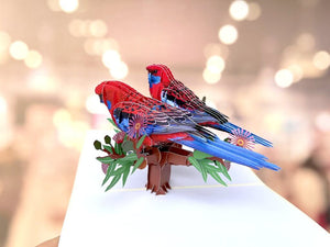 Handmade Australian Crimson Rosella Parrot Couple 3D Pop Up Card