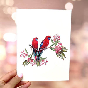 Handmade Australian Crimson Rosella Parrot Couple 3D Pop Up Card