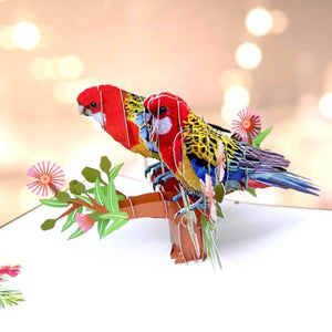Handmade Australian Colourful Eastern Rosella Parrot Couple 3D Pop Up Card