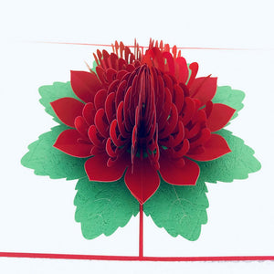 Handmade Australian Native Flower Red Waratah Pop Up Greeting Card - Online Party Supplies