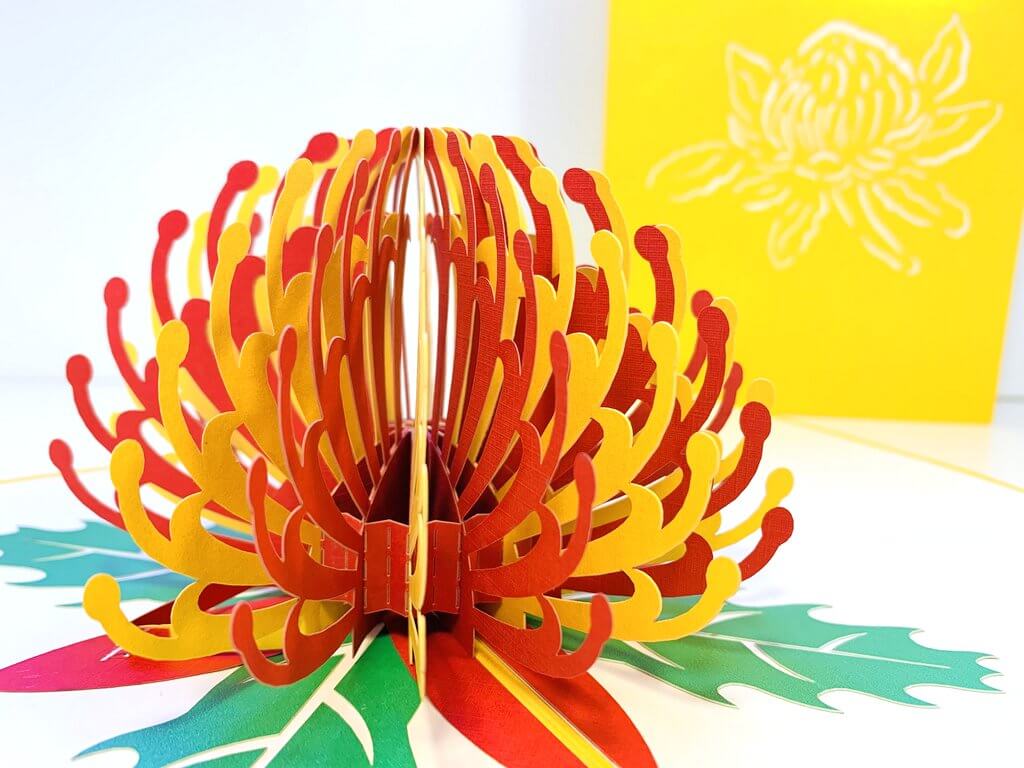 Handmade Australian Native Flower Red Yellow Waratah Pop Up Greeting Card - Online Party Supplies
