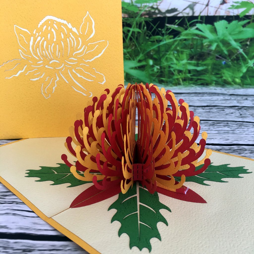 Handmade Australian Native Flower Red Yellow Waratah Pop Up Greeting Card - Online Party Supplies
