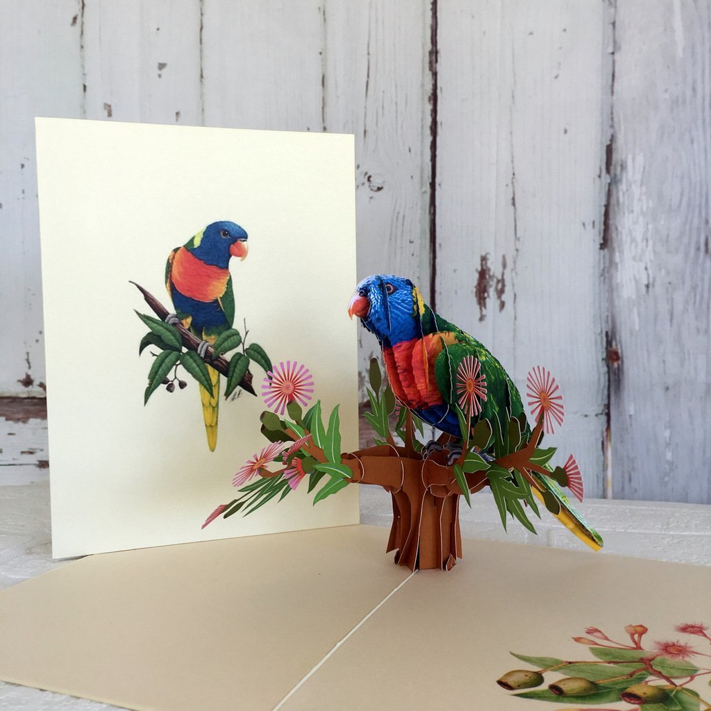 Handmade Australian Native Rainbow Lorikeet Parrot Bird 3D Pop Up Greeting Card - Online Party Supplies