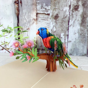 Handmade Australian Native Rainbow Lorikeet Parrot Bird 3D Pop Up Greeting Card - Online Party Supplies