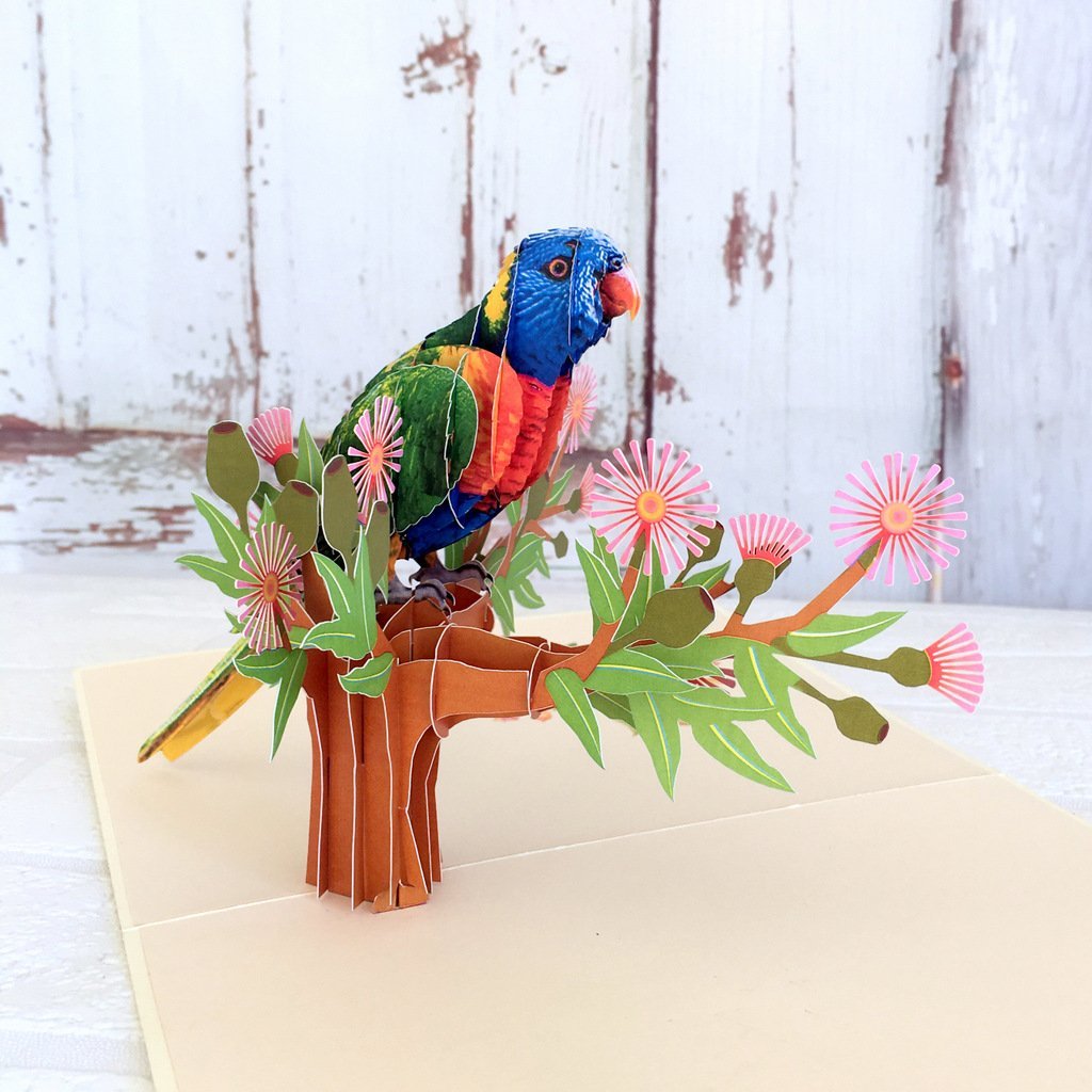 Handmade Australian Native Rainbow Lorikeet Parrot Bird 3D Pop Up Greeting Card - Online Party Supplies
