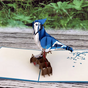 Handmade Blue Jay Bird 3D Pop Up Greeting Card - Online Party Supplies