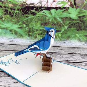 Handmade Blue Jay Bird 3D Pop Up Greeting Card - Online Party Supplies