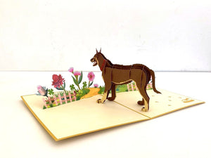 Handmade Brown Australian Kelpie Dog in Flower Garden Pop Up Card - 3D Animal Cards - Cards for Dog Lovers