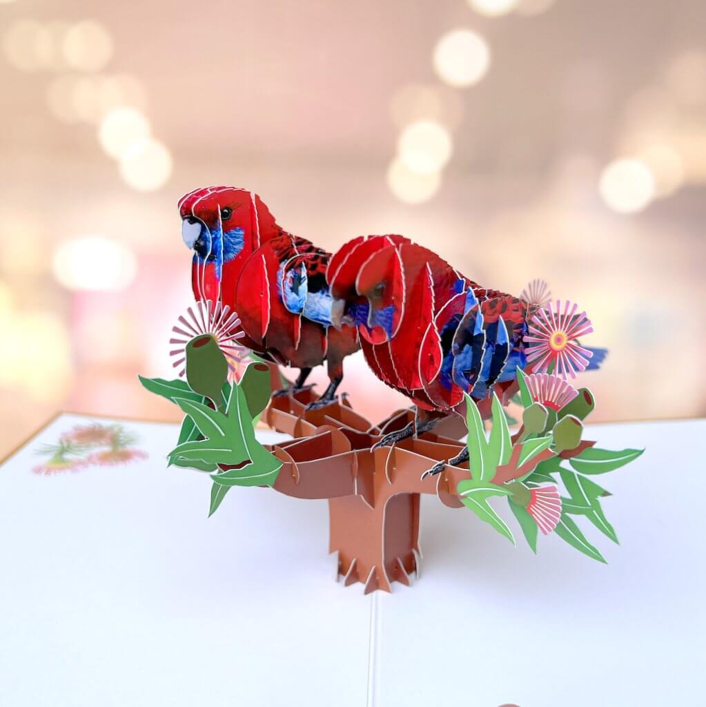 Luxury Embossed Australian Crimson Rosella Parrot Couple 3D Pop Up Card