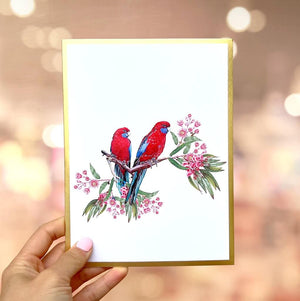Luxury Embossed Australian Crimson Rosella Parrot Couple 3D Pop Up Card