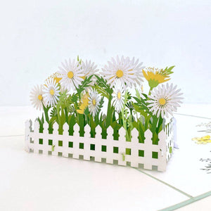 Handmade White English Daisy Garden 3D Pop Up Greeting Card - Mother's Day, Valentine's Day Pop Up Cards - Wedding Invitations