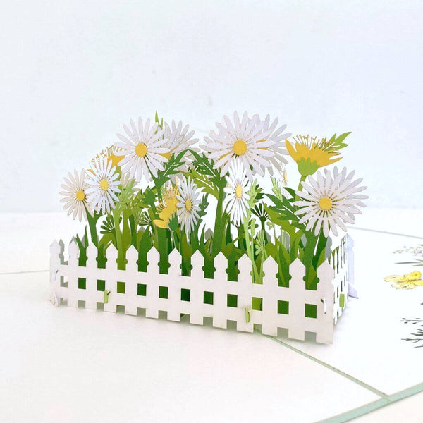 White English Daisy Flower Garden Pop Up Greeting Card