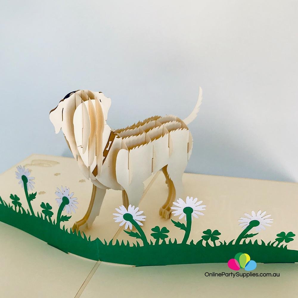 Handmade White Labrador Dog in Daisy Garden 3D Pop Up Card - Online Party Supplies