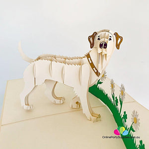 Handmade White Labrador Dog in Daisy Garden 3D Pop Up Card - Online Party Supplies