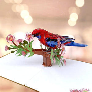Luxury Embossing Handmade Australian Eastern Rosella Parrot Bird Card