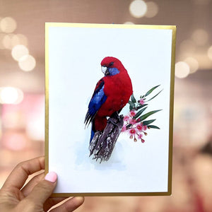 Luxury Embossing Handmade Australian Eastern Rosella Parrot Bird Card