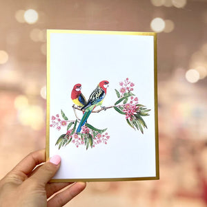 Luxury Embrossing Australian Colourful Eastern Rosella Parrot Couple 3D Pop Up Card