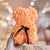 Luxury Everlasting Rose Teddy Bear with Gift Box - Orange