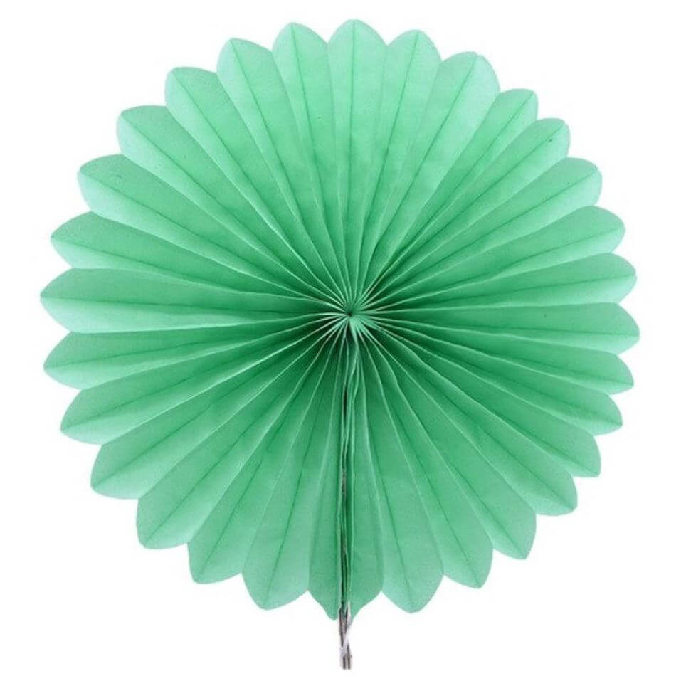 Online Party Supplies Australia Mint Green round tissue paper fan party decorations