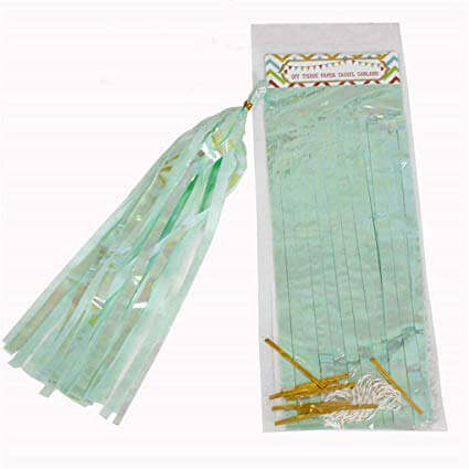 Online Party Supplies Iridescent seafoam Green Tassel Garland (Pack of 5)