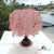 Pink Japanese Maple Tree 3D Pop Up Card - Online Party Supplies