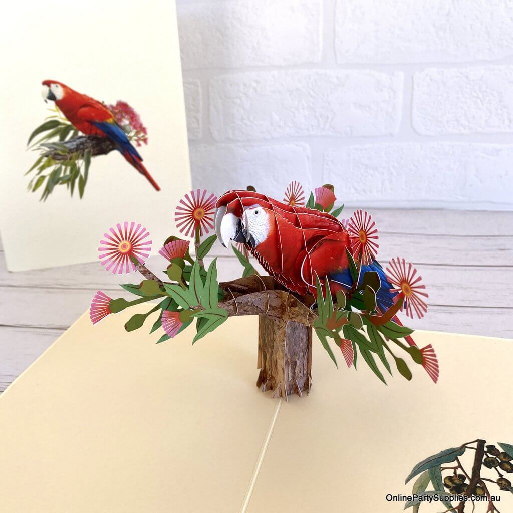 Handmade Rosella Parrot Bird 3D Greeting Card - Australian Native Animal Pop Up Cards